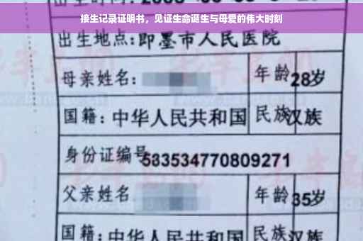 接生记录证明书，见证生命诞生与母爱的伟大时刻