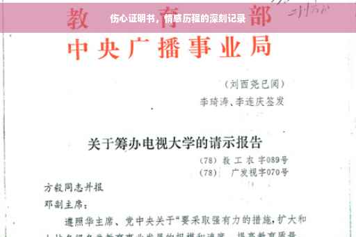 伤心证明书，情感历程的深刻记录