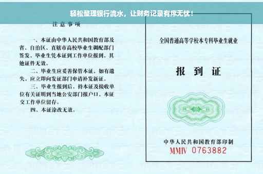 轻松整理银行流水，让财务记录有序无忧！