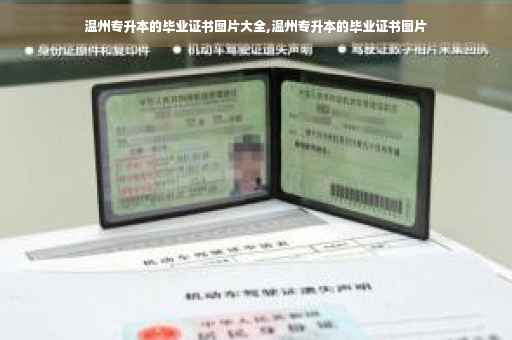 温州专升本的毕业证书图片大全,温州专升本的毕业证书图片