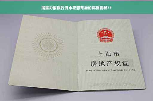 揭露办假银行流水犯罪背后的真相揭秘??