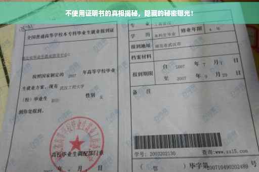 不使用证明书的真相揭秘，隐藏的秘密曝光！