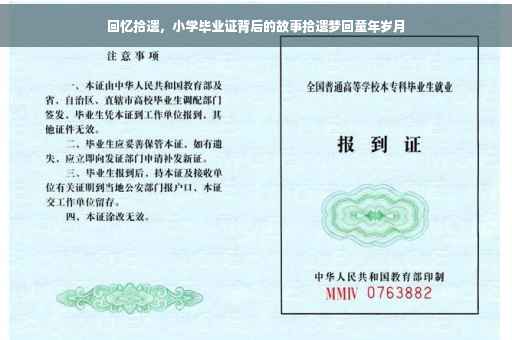 回忆拾遗，小学毕业证背后的故事拾遗梦回童年岁月