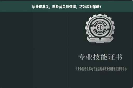 毕业证丢失，图片成关键证据，巧妙应对策略！