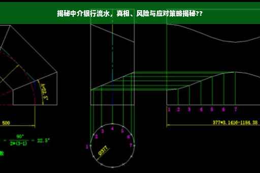揭秘中介银行流水，真相、风险与应对策略揭秘??