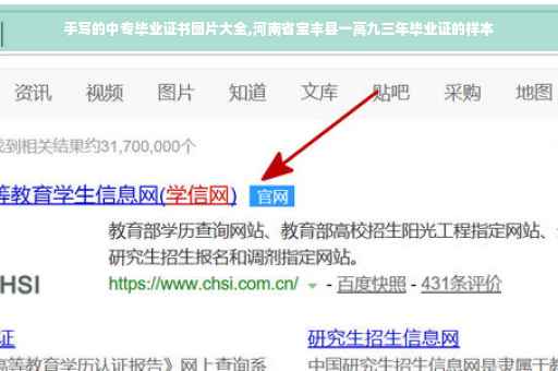 手写的中专毕业证书图片大全,河南省宝丰县一高九三年毕业证的样本