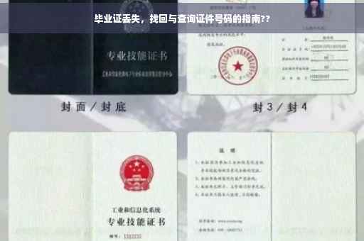 毕业证丢失，找回与查询证件号码的指南??