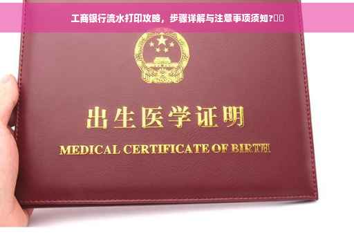 工商银行流水打印攻略，步骤详解与注意事项须知?⚡️