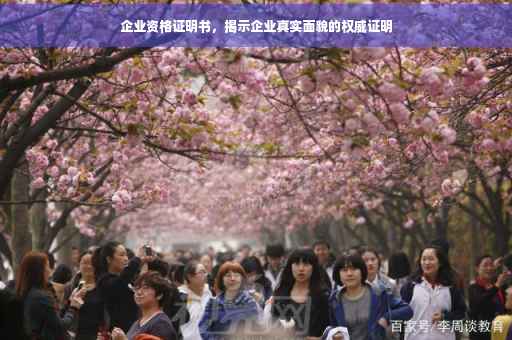 企业资格证明书，揭示企业真实面貌的权威证明