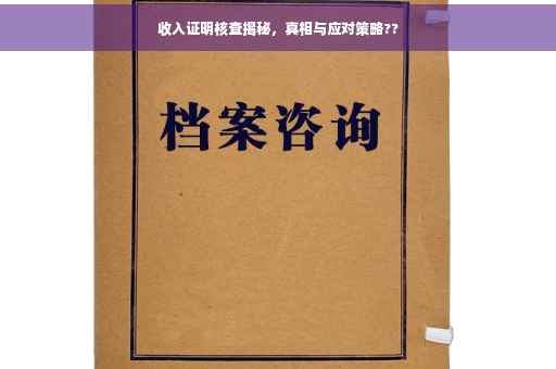 收入证明核查揭秘，真相与应对策略??