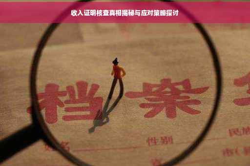 收入证明核查真相揭秘与应对策略探讨
