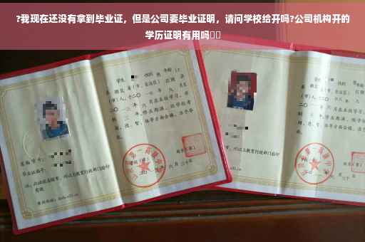 ?我现在还没有拿到毕业证，但是公司要毕业证明，请问学校给开吗?公司机构开的学历证明有用吗⚡️