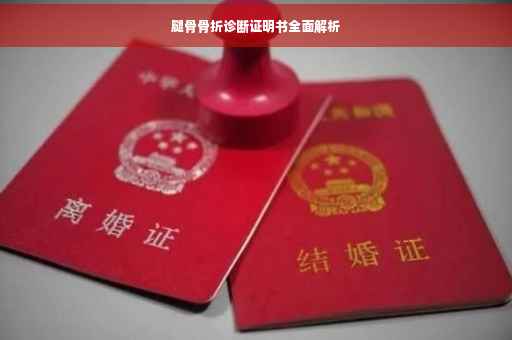 腿骨骨折诊断证明书全面解析
