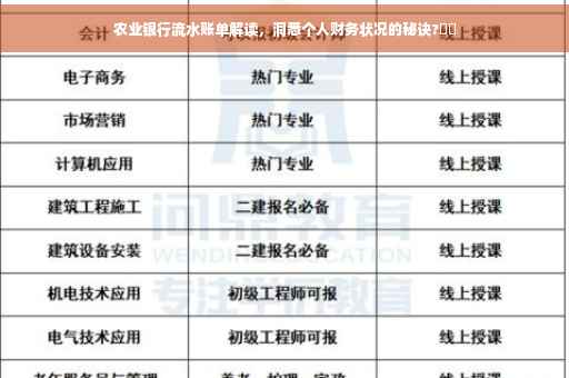 农业银行流水账单解读，洞悉个人财务状况的秘诀?⚡️