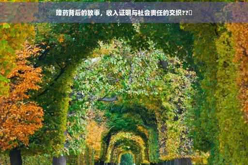赠药背后的故事，收入证明与社会责任的交织??✨
