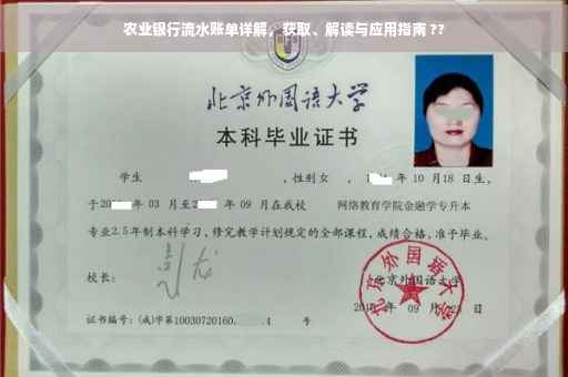农业银行流水账单详解，获取、解读与应用指南 ??