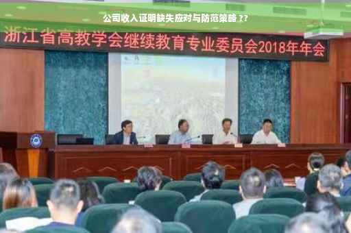 公司收入证明缺失应对与防范策略 ??