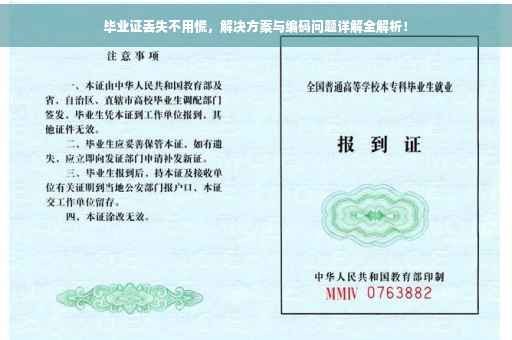 毕业证丢失不用慌，解决方案与编码问题详解全解析！