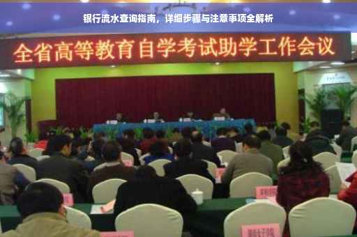 银行流水查询指南，详细步骤与注意事项全解析