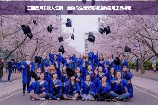 工商信用卡收入证明，金融与生活紧密相连的实用工具揭秘