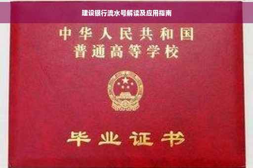 建设银行流水号解读及应用指南