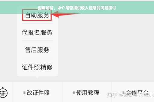 深度解析，中介是否提供收入证明的问题探讨