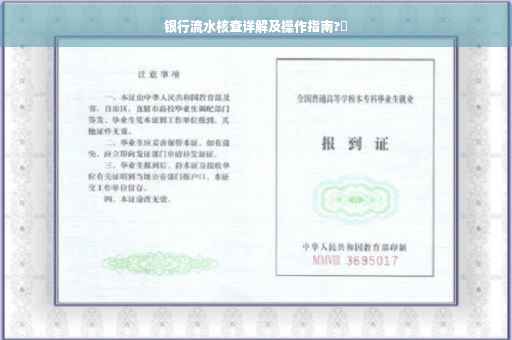 银行流水核查详解及操作指南?✨