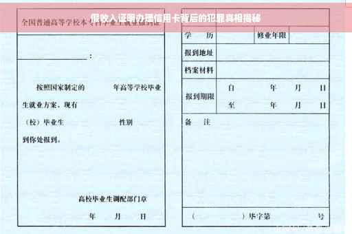 假收入证明办理信用卡背后的犯罪真相揭秘