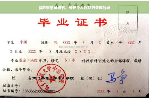 保险缴纳证明书，守护个人权益的关键凭证