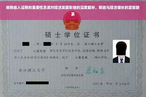地税收入证明的重要性及其对经济发展影响的深度解析，税收与经济增长的紧密联系
