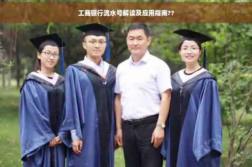 工商银行流水号解读及应用指南??