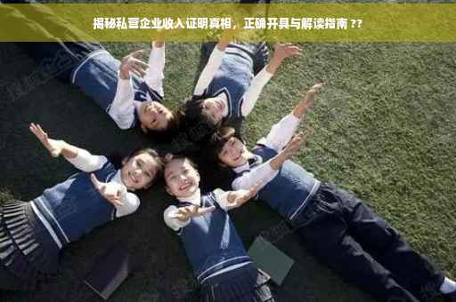 揭秘私营企业收入证明真相，正确开具与解读指南 ??