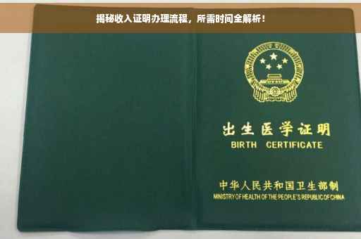 揭秘收入证明办理流程，所需时间全解析！