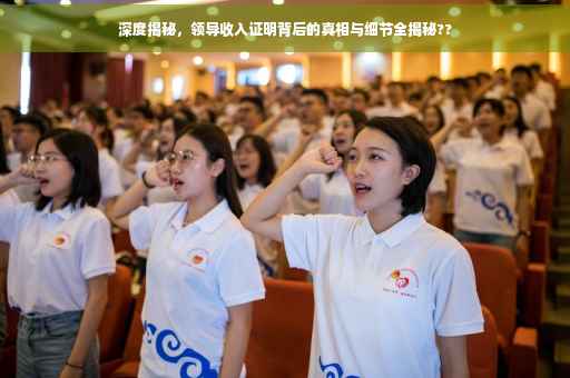 深度揭秘，领导收入证明背后的真相与细节全揭秘??