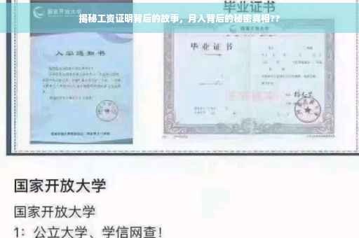 揭秘工资证明背后的故事，月入背后的秘密真相??
