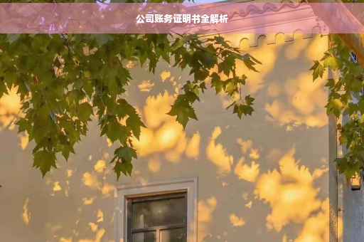 公司账务证明书全解析