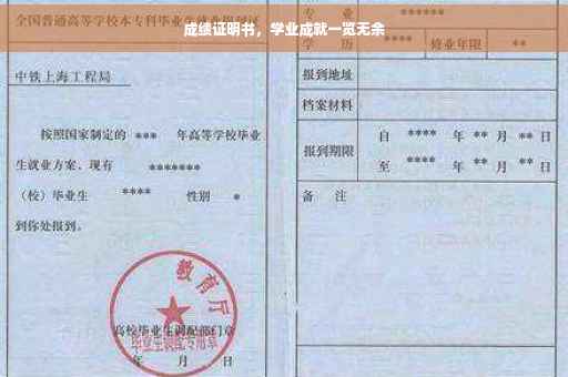 成绩证明书，学业成就一览无余