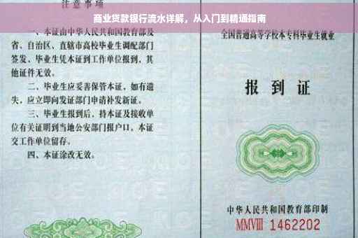 商业贷款银行流水详解，从入门到精通指南