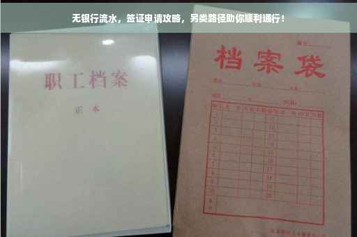 无银行流水，签证申请攻略，另类路径助你顺利通行！