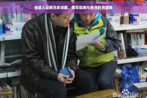 低收入证明范本详解，撰写指南与有效利用策略