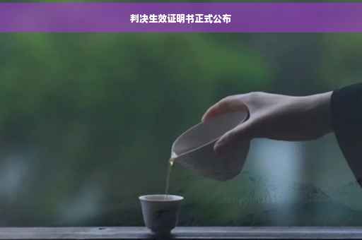 判决生效证明书正式公布