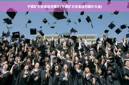 宁夏矿大毕业证书图片(宁夏矿大毕业证书图片大全)