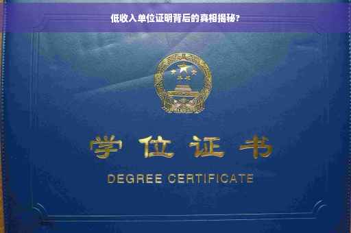低收入单位证明背后的真相揭秘?