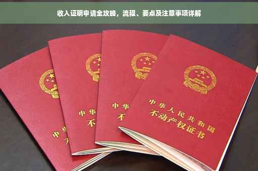 收入证明申请全攻略，流程、要点及注意事项详解