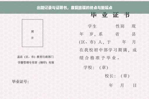 出院记录与证明书，康复旅程的终点与新起点