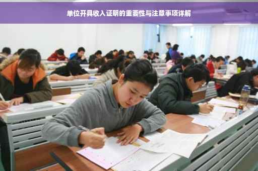 单位开具收入证明的重要性与注意事项详解