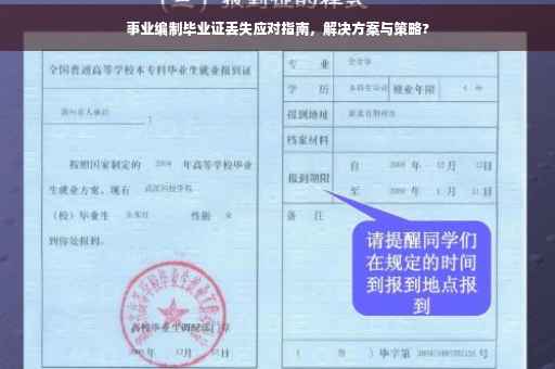 事业编制毕业证丢失应对指南，解决方案与策略?