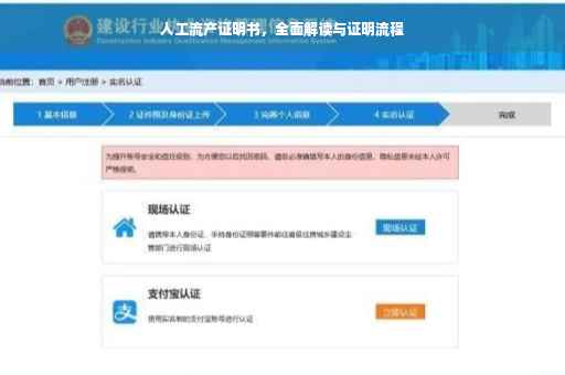 人工流产证明书，全面解读与证明流程
