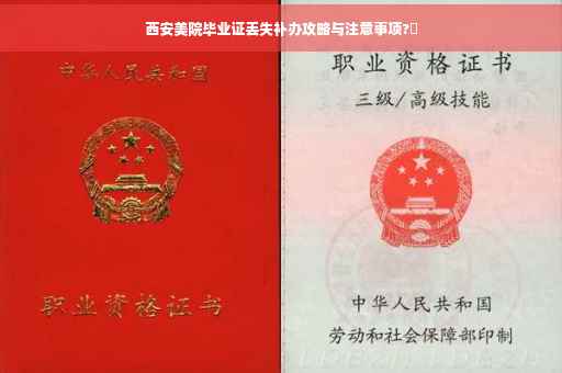 西安美院毕业证丢失补办攻略与注意事项?✨