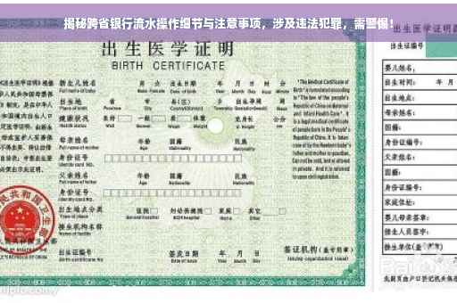 揭秘跨省银行流水操作细节与注意事项，涉及违法犯罪，需警惕！